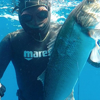 Mares Hand Spear Fiber - Pole Spears - Spearfishing - Freediving - Dive